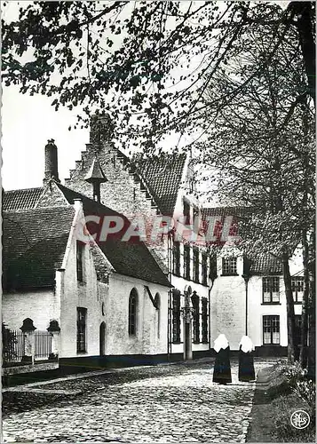 Cartes postales moderne Bruges le Monastere de la Vigne la Maison Capitulaire