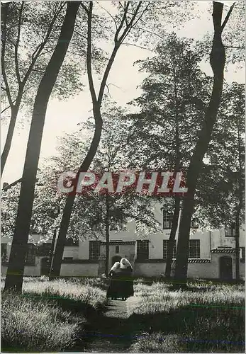 Cartes postales moderne Bruges Interieur du Beguinage