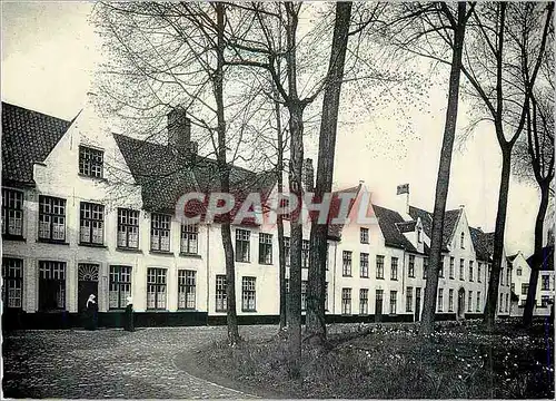 Cartes postales moderne Bruges l'Enclos de la Vigne Aile Ouest des Batiments Claustraux