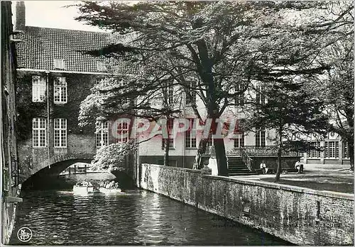 Cartes postales moderne Bruges Parc Alfred Ronse Derriere Gruuthuuse