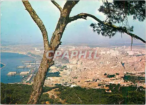 Cartes postales moderne Oran Lumiere et Beaute de l'Oranie Vue Generale