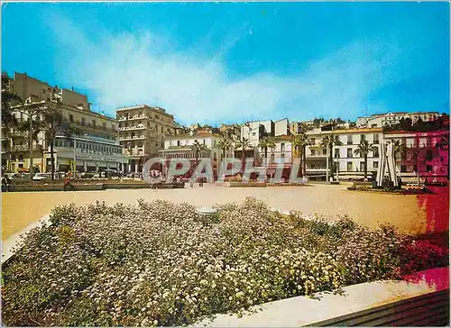 Cartes postales moderne Skikda Place du 1er Novembre Excelsior