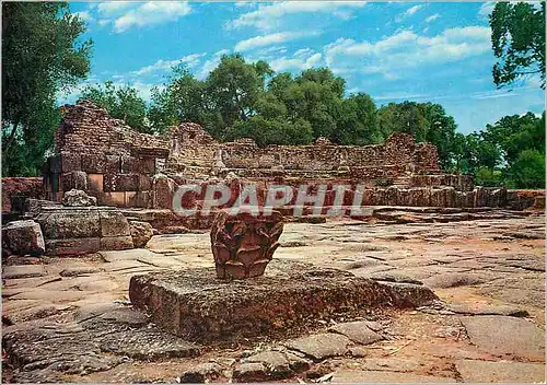 Cartes postales moderne Algerie Tipaza Ruines Romaines