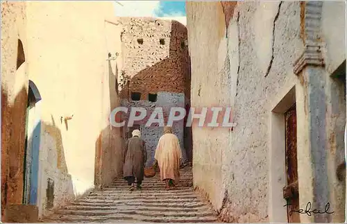 Cartes postales moderne Algerie Pittoresque