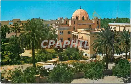 Cartes postales moderne Biskra Hotel Palace