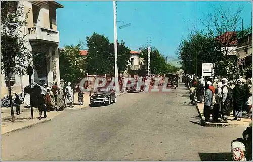 Cartes postales moderne Ksar El Boukhari (Boghari) Rue Khemisti