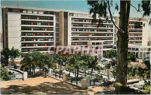 Cartes postales moderne Alger le Gouvernement General et le Jardin vus du Cote Sud