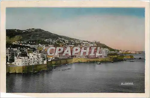 Cartes postales moderne Alger Vue Generale sur Bab El Oued Notre Dame d'Afrique