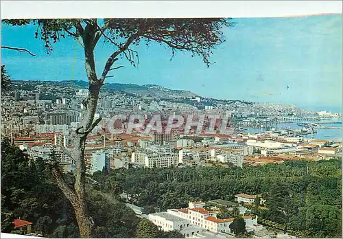 Cartes postales moderne Alger Vue Generale