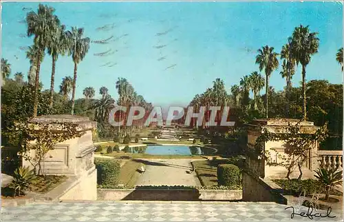 Cartes postales moderne Alger le Jardin d'Essai