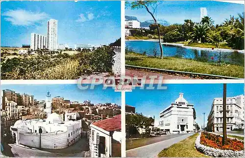 Cartes postales moderne Oran (Algerie) la Cite Jean de la Fontaine le Lac du Jardin Municipal