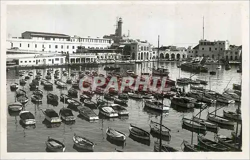 Cartes postales moderne Alger l'Amiraute Bateaux