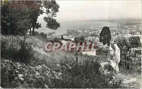 Cartes postales moderne Alger Vue Generale prise du Boulevard Gallieni Femme Folklore