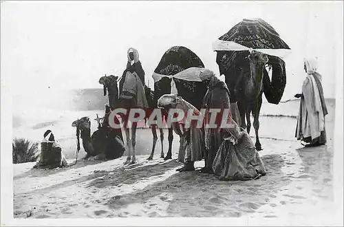 Cartes postales moderne La Priere au Desert