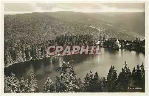 Cartes postales Mummelsee Nordl Bad Schwarzwald 1028m u M Karl Burk