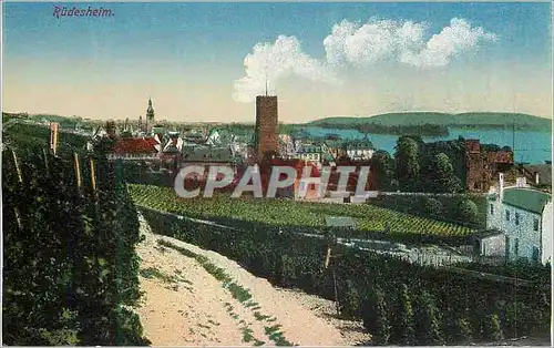 Cartes postales Rudesheim