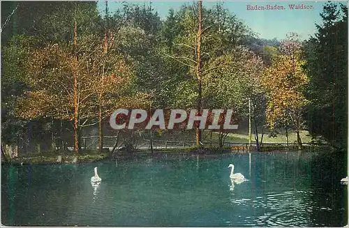 Cartes postales Baden Baden Waldsee Cygnes