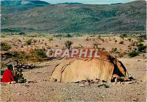 Cartes postales moderne Region de Tadjourah La Tente Familiale des Nomades Djibouti