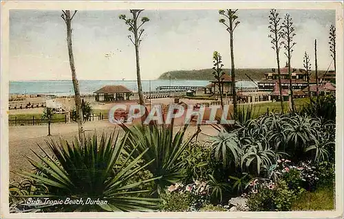 Cartes postales Durban Sub Tropic Beach