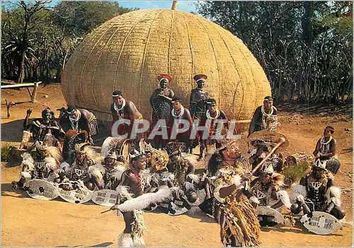 Cartes postales moderne Suder Africa Traditional African Life Folklore