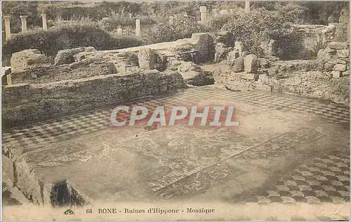 Cartes postales Bone Ruines d'Hippone Mosaique