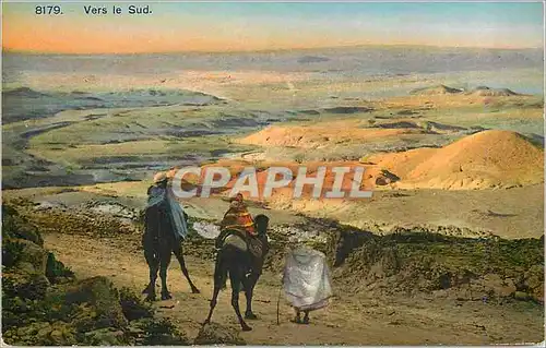 Cartes postales Vers le Sud Chameau