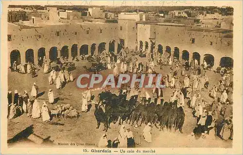 Cartes postales Ghardaia Un Coin du Marche Chameaux