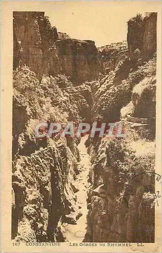 Cartes postales Constantine Les Gorges du Rhummel