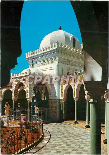 Cartes postales moderne Algerie Oran Mosquee du Pacha