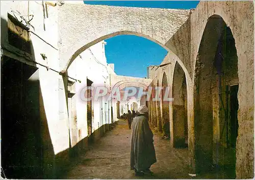 Cartes postales moderne El Oued Vue Typique