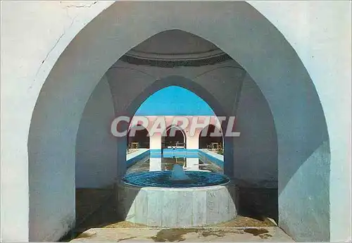 Cartes postales moderne Saida Algerie Les Thermes Hammam Rabbi