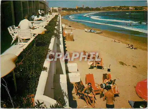 Cartes postales moderne Alger Moretti Plage