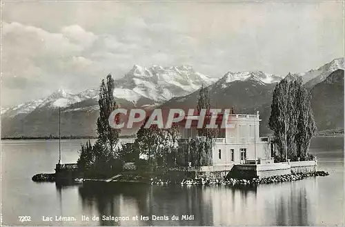 Cartes postales moderne Lac Leman Ile de Salagnon et les Dents du Midi