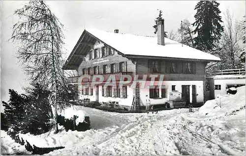 Cartes postales moderne La Roche Chalet le Belvedere