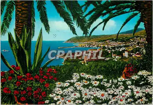 Cartes postales moderne S Remo Riviera dei Fiori Vue Generale prise de levant