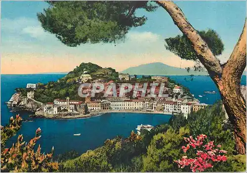 Cartes postales moderne Sestri Levante La Peninsule