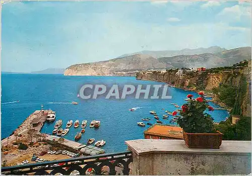 Cartes postales moderne Sorrento Le Nouveau Port