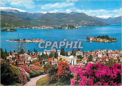 Cartes postales moderne Stresa Lac Majeur Vue des Iles Borramees