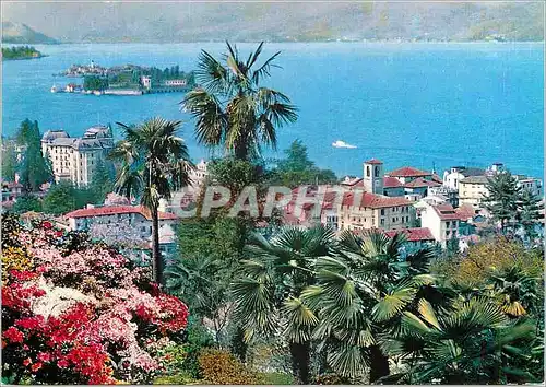 Cartes postales moderne Stresa Lac Majeur