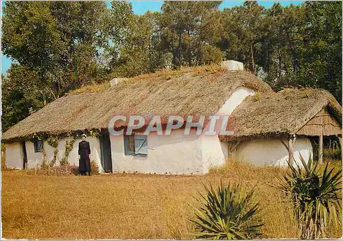 Cartes postales moderne Bourrine Musee de Saint Hilaire de Riez Pays de Riez Ocean