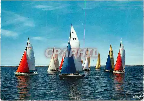 Cartes postales moderne Bateaux Voiliers