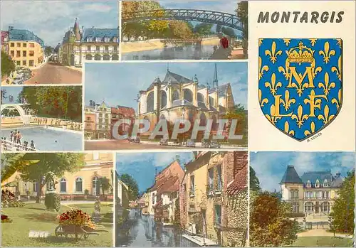 Cartes postales moderne Montargis (Loiret)