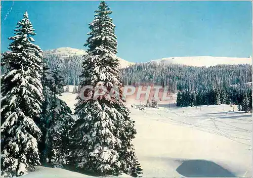 Cartes postales moderne Le Haut Jura en Hiver Les Champs de Neige des Dappes Au fond La Dole (Suisse) alt 1628 m