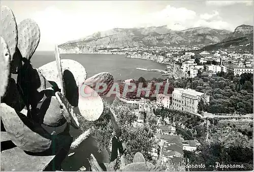 Cartes postales moderne Sorrento Panorama