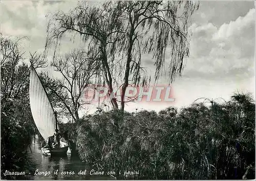 Cartes postales moderne Siracusa Lungo il carso del Ciane can i papiri Bateau