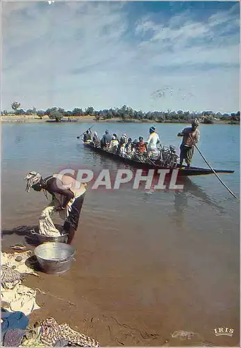 Cartes postales moderne Afrique en Couleurs au Bord de la Riviere