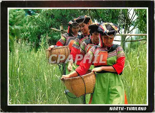 Cartes postales moderne North Thailand the Mountain Folk Lisaw Women are Carrying their Offerings to the Market Northern