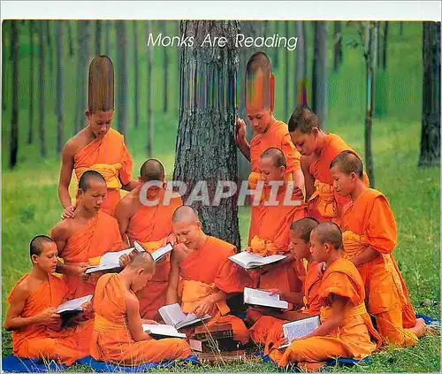 Cartes postales moderne Thailand Monks are Reading