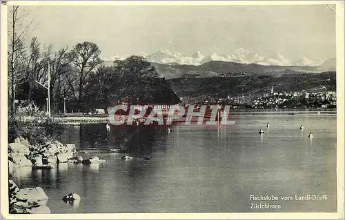 Cartes postales moderne Fischtube vom Landi Dorfli Zurichhorn