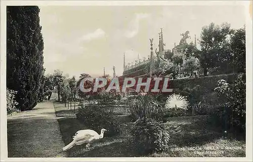 Cartes postales moderne Isola Bella Lago Maggiore Giardino